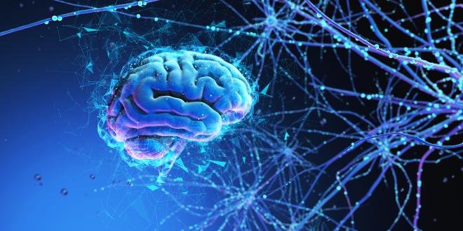 a rendering of a brain with an electrified network of neurons